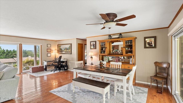300 Clearfield Rd, Knoxville, TN 37922 - dining space with plenty of natural light, crown molding, ceiling fan, light wood finished floors, and an office area