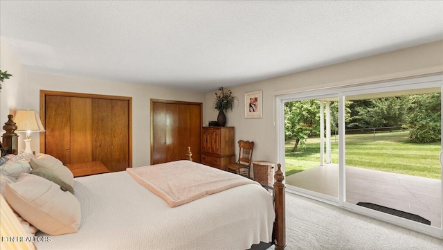 300 Clearfield Rd, Knoxville, TN 37922 - bedroom with access to exterior, two closets, carpet floors, and a textured ceiling