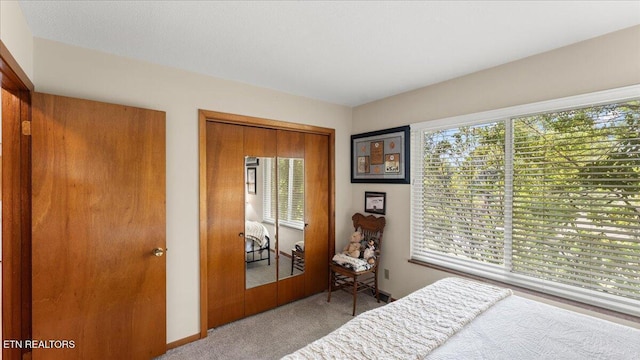 300 Clearfield Rd, Knoxville, TN 37922 - carpeted bedroom with a closet