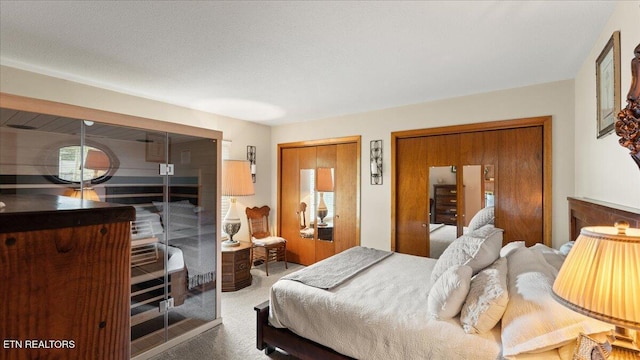 300 Clearfield Rd, Knoxville, TN 37922 - bedroom with carpet flooring and multiple closets