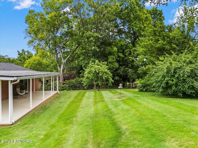 300 Clearfield Rd, Knoxville, TN 37922 - view of green lawn featuring a patio area