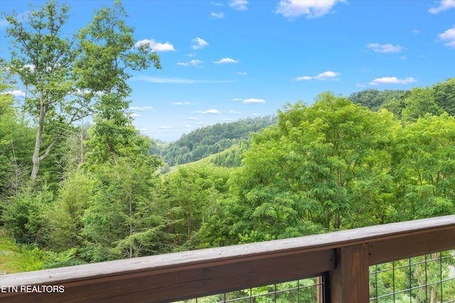 4228 Wears Valley Rd Unit 41, Sevierville, TN 37862 - photo 33