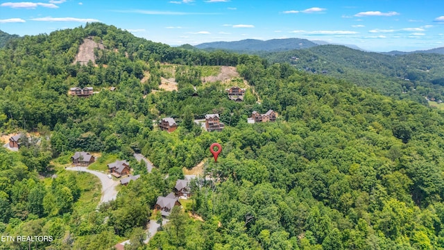 4228 Wears Valley Rd Unit 41, Sevierville, TN 37862 - photo 37
