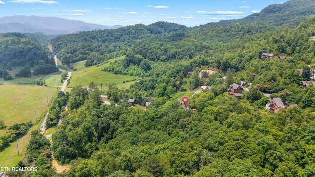 4228 Wears Valley Rd Unit 41, Sevierville, TN 37862 - photo 38