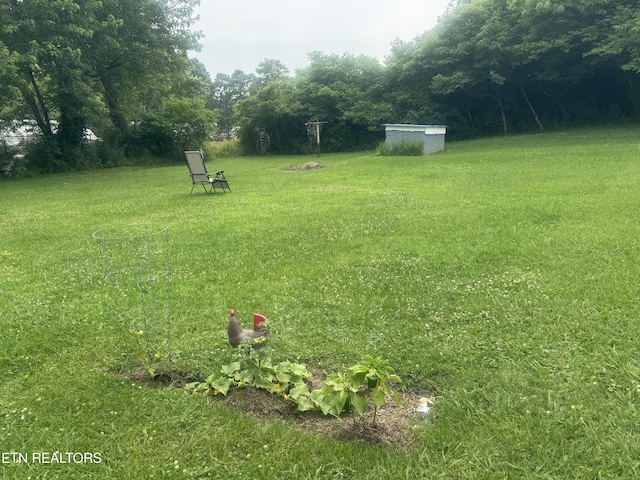 3207 Dove Ln, White Pine, TN 37890 - view of green lawn with a shed