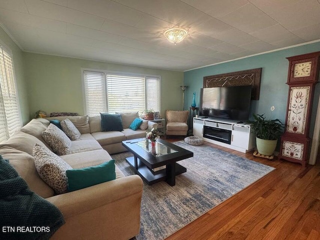 3207 Dove Ln, White Pine, TN 37890 - living area with crown molding and wood finished floors