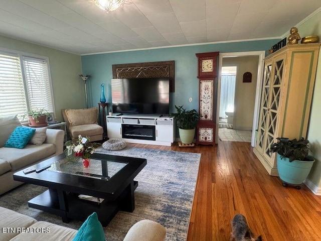3207 Dove Ln, White Pine, TN 37890 - living room with ornamental molding, wood finished floors, and a glass covered fireplace
