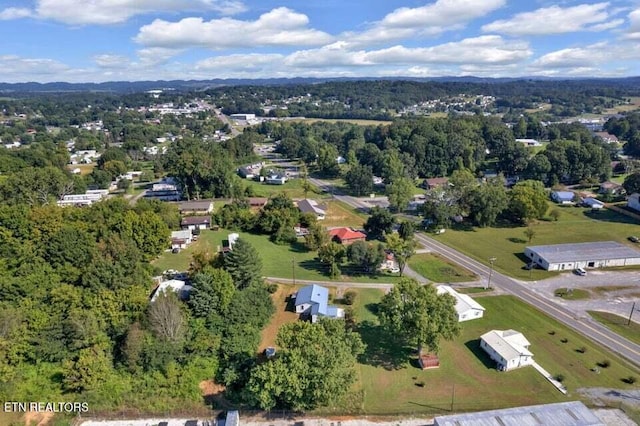 3207 Dove Ln, White Pine, TN 37890 - bird's eye view