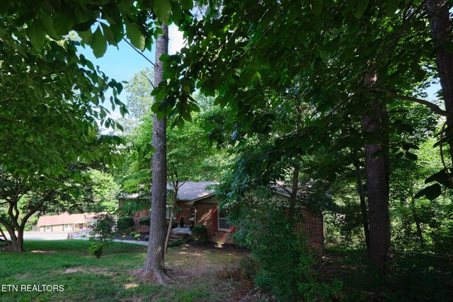 101 Greenbriar Ln, Oak Ridge, TN 37830 - photo 7
