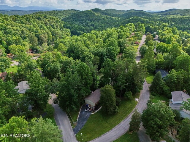 101 Greenbriar Ln, Oak Ridge, TN 37830 - photo 2