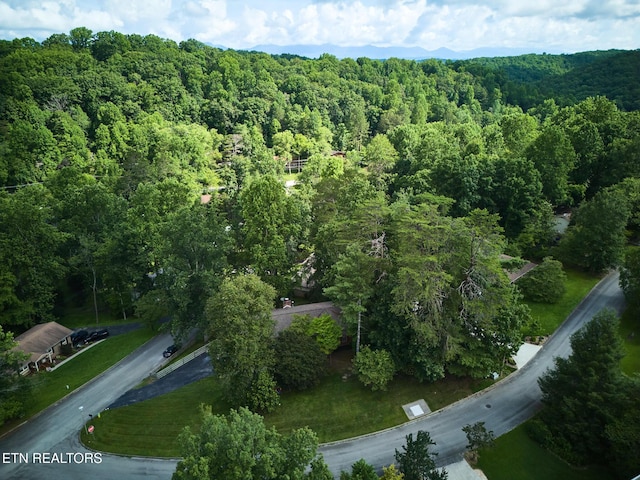101 Greenbriar Ln, Oak Ridge, TN 37830 - photo 11