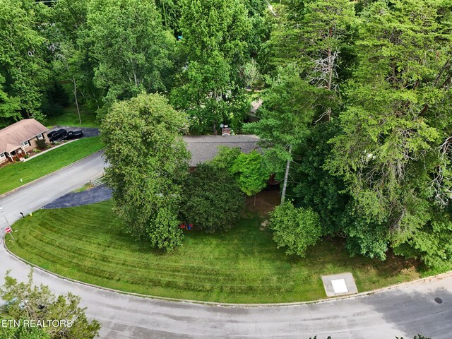 101 Greenbriar Ln, Oak Ridge, TN 37830 - photo 12