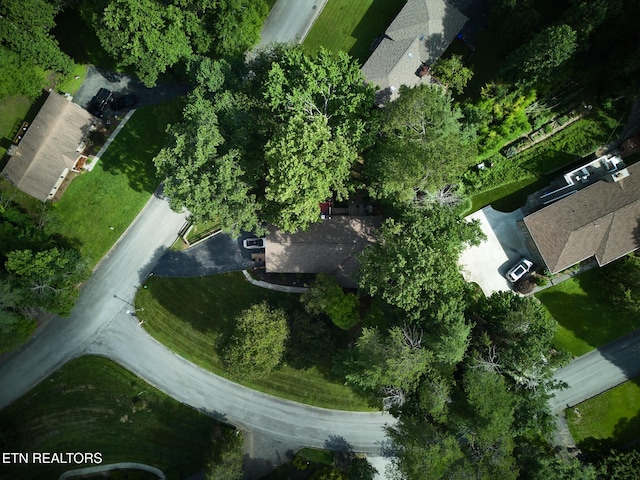 101 Greenbriar Ln, Oak Ridge, TN 37830 - photo 13