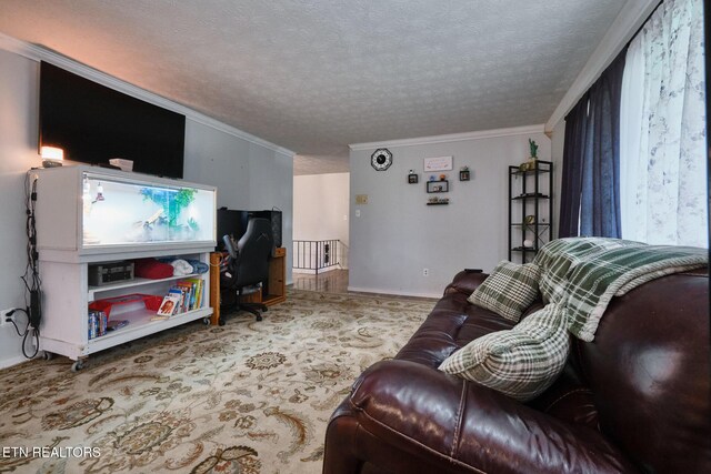 101 Greenbriar Ln, Oak Ridge, TN 37830 - photo 17