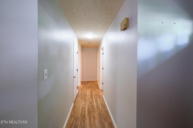 101 Greenbriar Ln, Oak Ridge, TN 37830 - photo 35