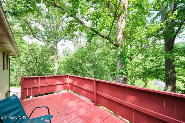 101 Greenbriar Ln, Oak Ridge, TN 37830 - photo 30