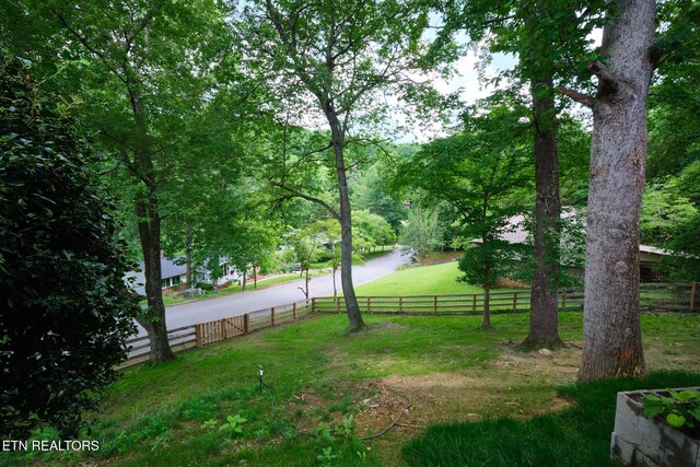 101 Greenbriar Ln, Oak Ridge, TN 37830 - photo 32