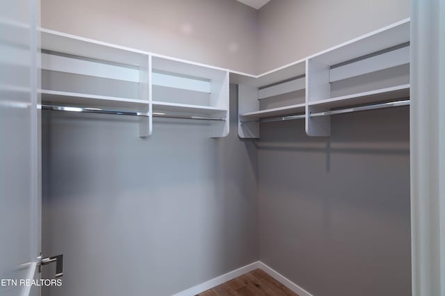 333 W Depot Ave Unit 208, Knoxville, TN 37917 - photo 15
