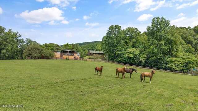 518 Buell Rd, Sneedville, TN 37869 - photo 21