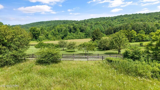 518 Buell Rd, Sneedville, TN 37869 - photo 22