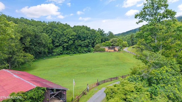 518 Buell Rd, Sneedville, TN 37869 - photo 24