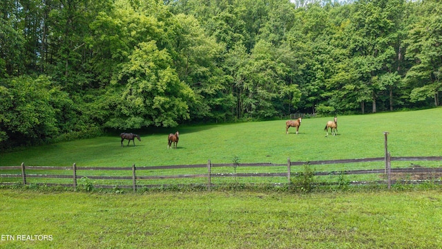 518 Buell Rd, Sneedville, TN 37869 - photo 25