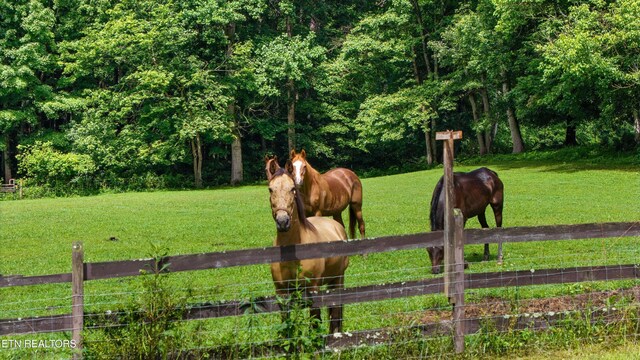 518 Buell Rd, Sneedville, TN 37869 - photo 26
