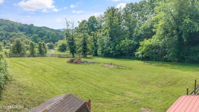 518 Buell Rd, Sneedville, TN 37869 - photo 27