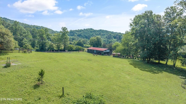 518 Buell Rd, Sneedville, TN 37869 - photo 28