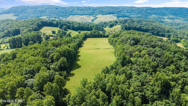 518 Buell Rd, Sneedville, TN 37869 - photo 29