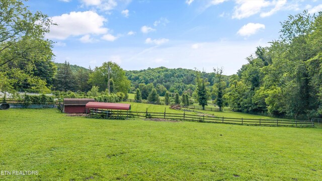 518 Buell Rd, Sneedville, TN 37869 - photo 30