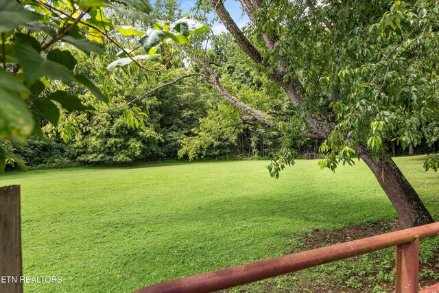 518 Buell Rd, Sneedville, TN 37869 - photo 32
