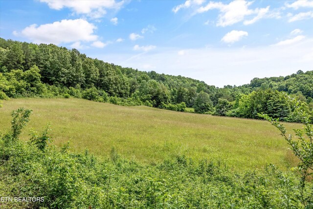 518 Buell Rd, Sneedville, TN 37869 - photo 33