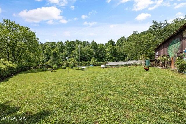 518 Buell Rd, Sneedville, TN 37869 - photo 34