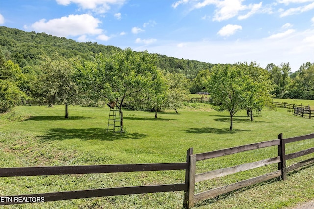518 Buell Rd, Sneedville, TN 37869 - photo 35