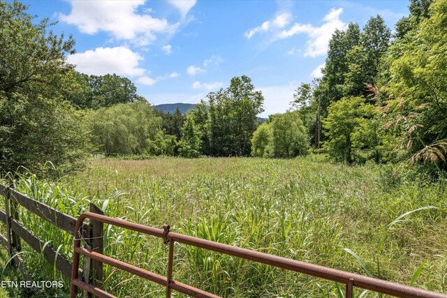518 Buell Rd, Sneedville, TN 37869 - photo 36