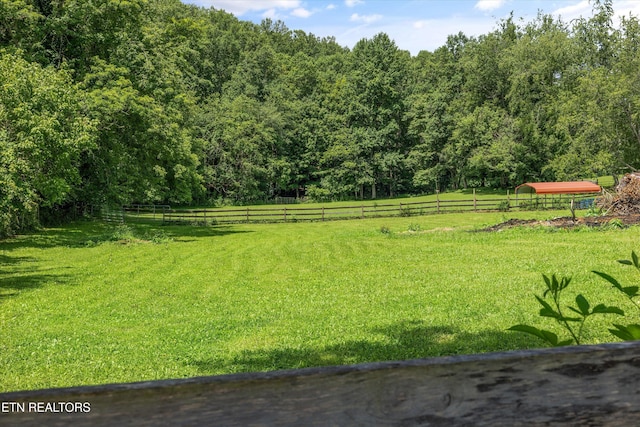 518 Buell Rd, Sneedville, TN 37869 - photo 37