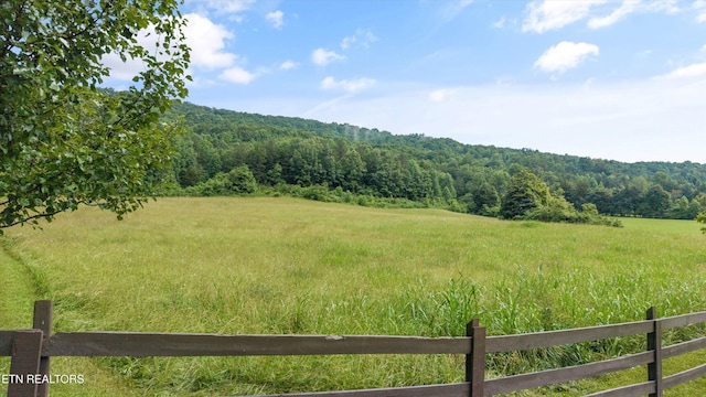 518 Buell Rd, Sneedville, TN 37869 - photo 38