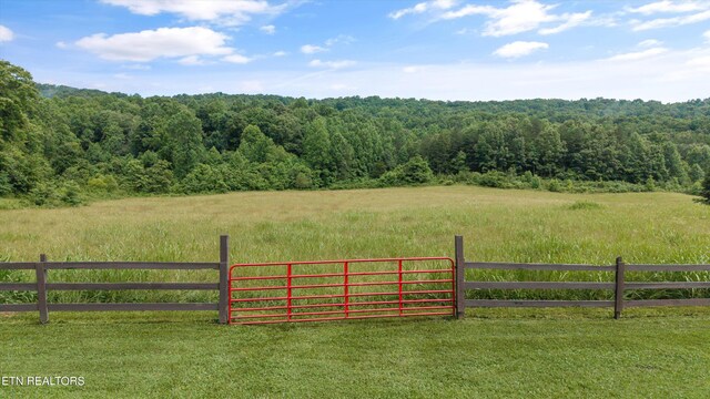 518 Buell Rd, Sneedville, TN 37869 - photo 39