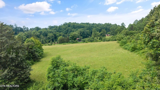 518 Buell Rd, Sneedville, TN 37869 - photo 40