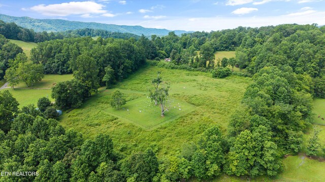 518 Buell Rd, Sneedville, TN 37869 - photo 41