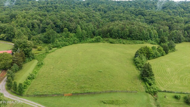 518 Buell Rd, Sneedville, TN 37869 - photo 42