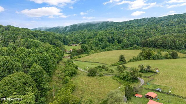 518 Buell Rd, Sneedville, TN 37869 - photo 43