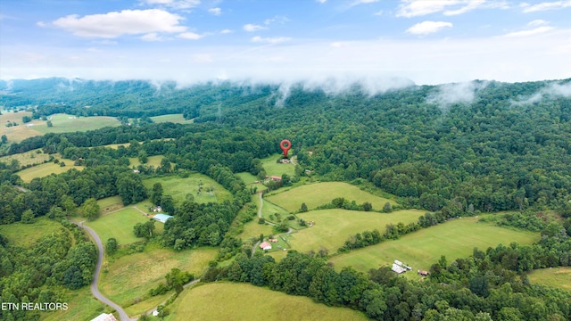 518 Buell Rd, Sneedville, TN 37869 - photo 44