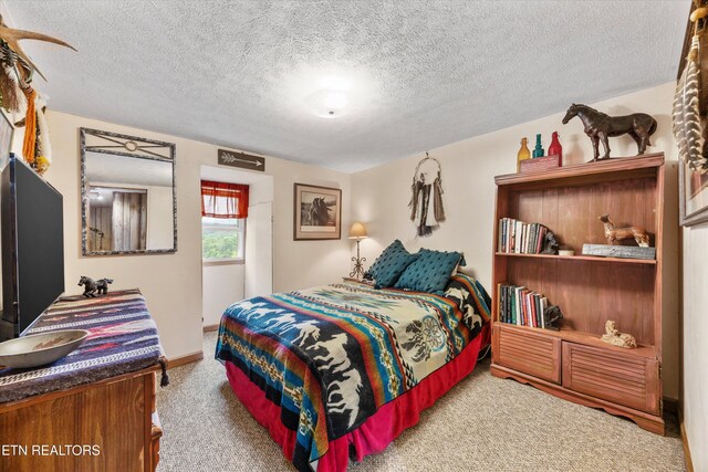 518 Buell Rd, Sneedville, TN 37869 - photo 12