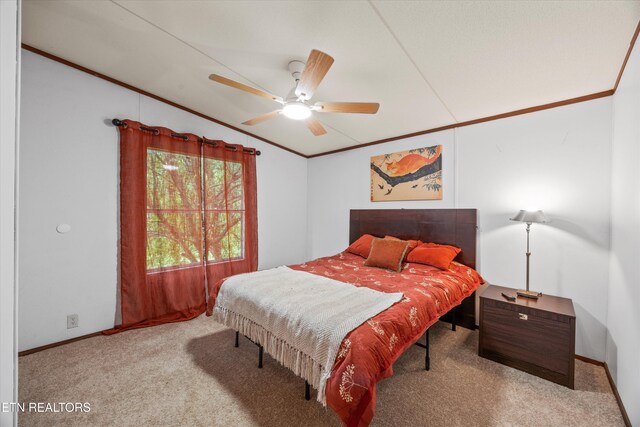 518 Buell Rd, Sneedville, TN 37869 - photo 54