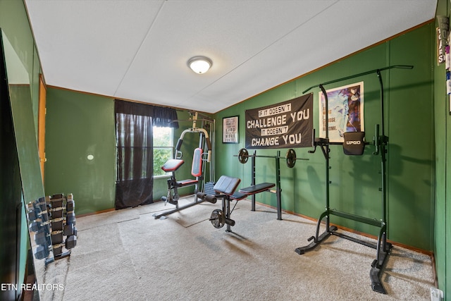 518 Buell Rd, Sneedville, TN 37869 - photo 55