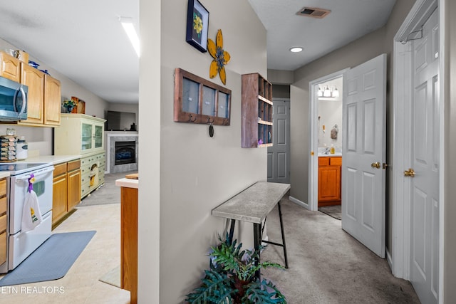 209 Covington Ln, Maryville, TN 37804 - photo 4