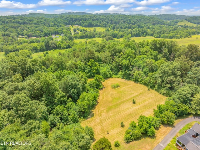 Kodak Rd, Kodak, TN 37764