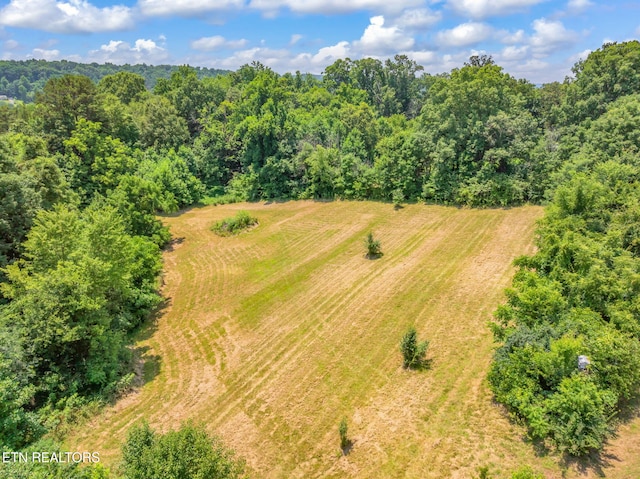 Kodak Rd, Kodak, TN 37764